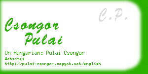 csongor pulai business card